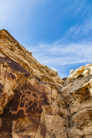Scenic 120410-6900