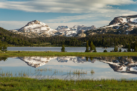 Landscape 7455