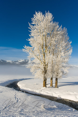 Landscape 5363