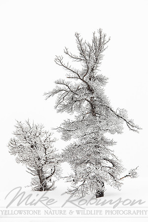 Landscape 120210-6841