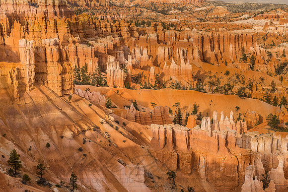 Bryce Canyon 5341