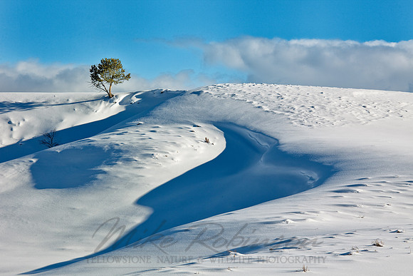 Landscape  100204-0098