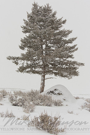Landscape 130130-0329