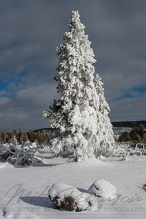 Landscape 2822