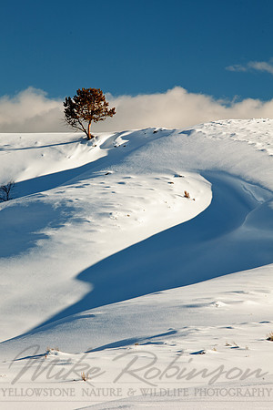 Landscape 100204-0099