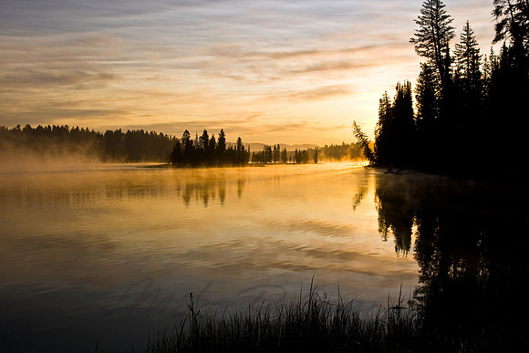 Landscape  9890