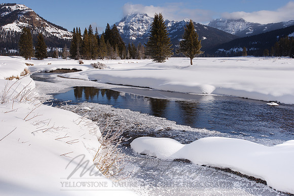 Landscape 5629