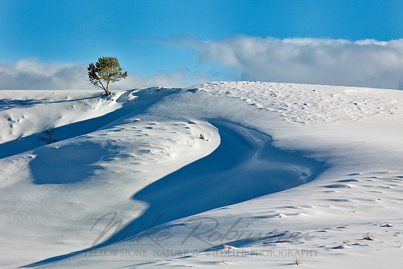 Landscape  100204-0098