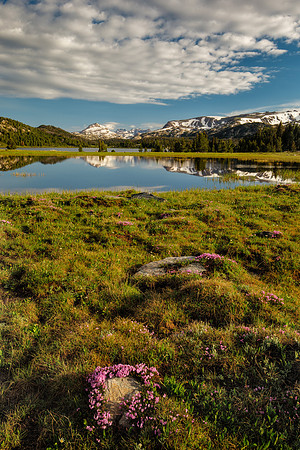 Landscape 7506