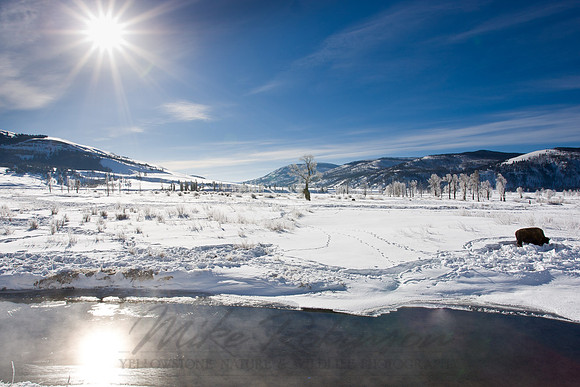 Landscape 2253
