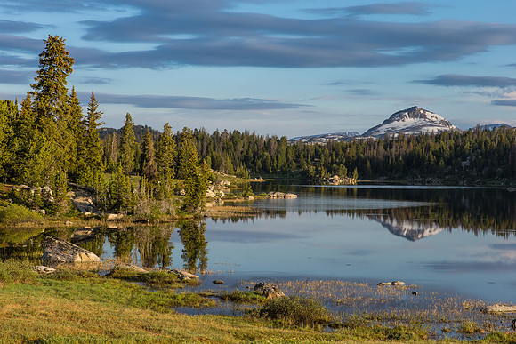 Landscape 7409