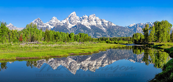 Summer Teton Panorama
