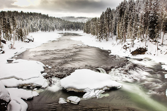 Landscape100204-9953