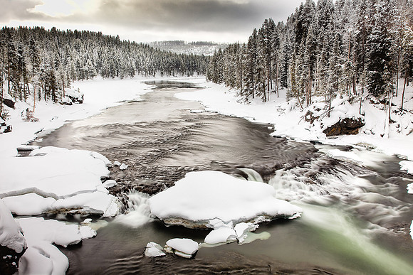 Yellowstone River-100204-9953