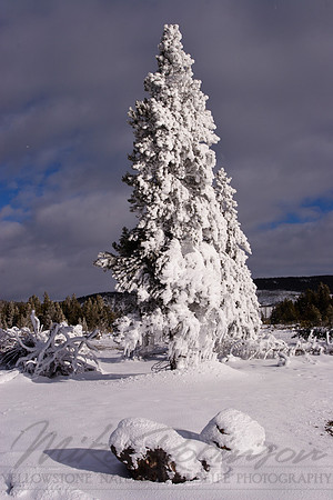 Landscape 2822