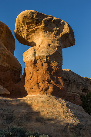Devils Garden 5886