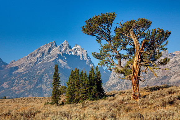Landscape -090928-7376